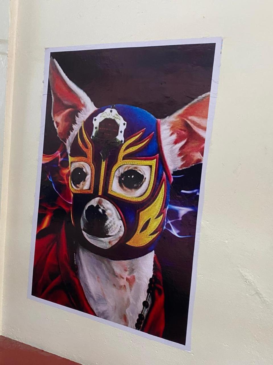 Mil Mascaras Hotel Oaxaca Екстериор снимка